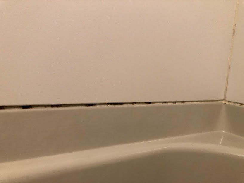 浴室のコーキングのカビ